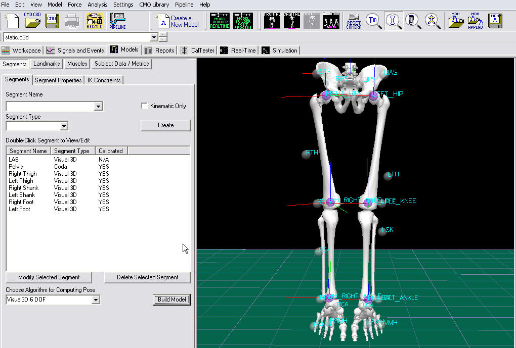 coda_foot_segments.jpg