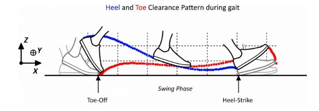 heel_toe_clearance.jpg