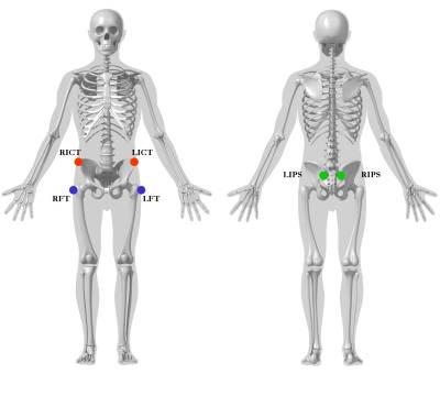 pelvis_segment_markers2jpeg.jpg