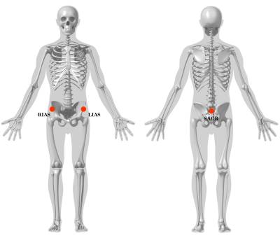 pelvis_segment_markers3jpeg.jpg