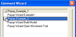 popupwizard2.jpg