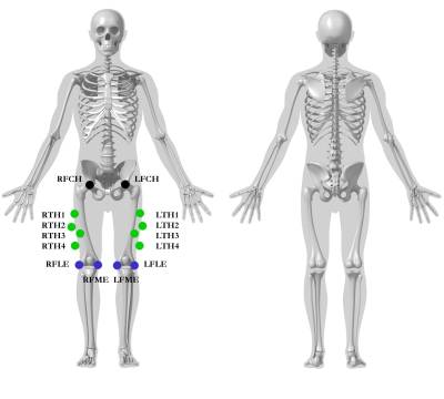 thigh_segment_markers2jpeg.jpg