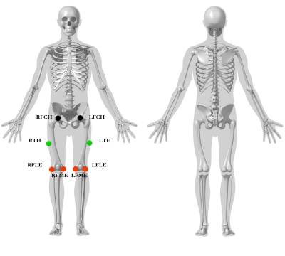 thigh_segment_markers3jpeg.jpg