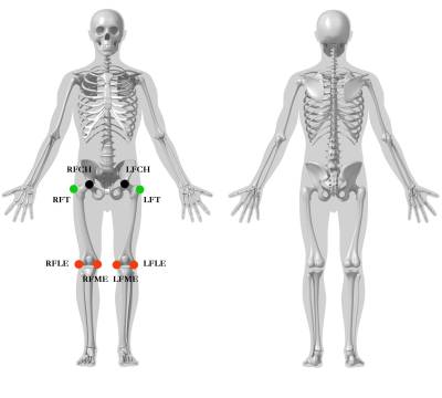 thigh_segment_markers4jpeg.jpg