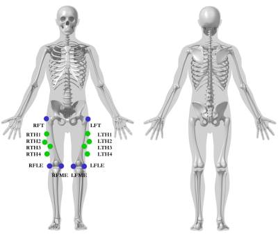 thigh_segment_markersjpeg.jpg