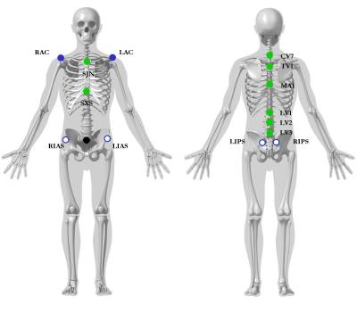 thorax_ab_1.jpg