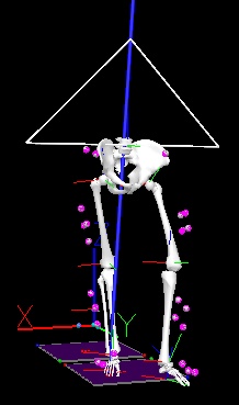 triangleonpelvis.jpg