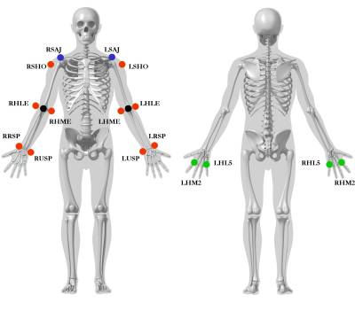 upper_arm_markers2.jpg